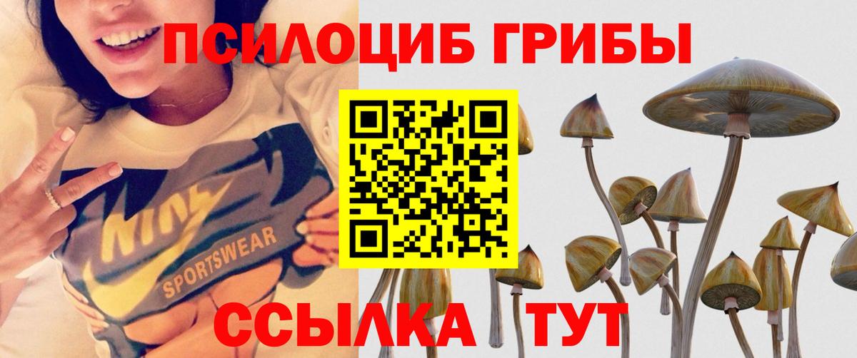 Татарск  Галлюциногенные грибы GOLDEN TEACHER  Вход с VPN 